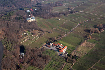 Vue aérienne de Hôtel bien-être Alte Rebschule et Villa Ludwigshöhe à Rhodt unter Rietburg dans le département Rhénanie-Palatinat, Allemagne
