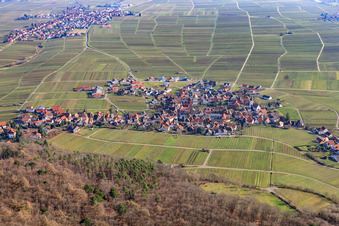 Vue aérienne de Vue du village viticole en hiver depuis l'ouest à Weyher in der Pfalz dans le département Rhénanie-Palatinat, Allemagne