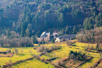 Vue aérienne de MVZ Landau GmbH à Badstr à Gleisweiler dans le département Rhénanie-Palatinat, Allemagne