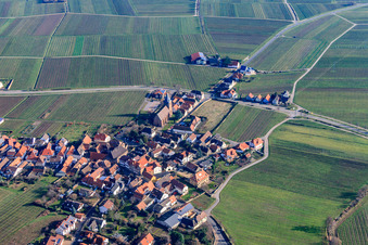 Vue aérienne de Route des vins avec l'église paroissiale de la Visitation de Marie à Burrweiler dans le département Rhénanie-Palatinat, Allemagne