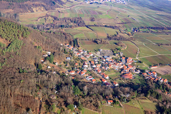 Vue aérienne de Waldstr à Burrweiler dans le département Rhénanie-Palatinat, Allemagne