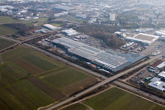 Vue d'oiseau de Landau Nord à Landau in der Pfalz dans le département Rhénanie-Palatinat, Allemagne