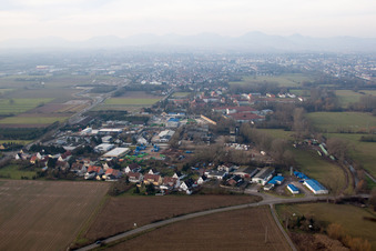 Vue aérienne de Chemin Borheimer à Landau in der Pfalz dans le département Rhénanie-Palatinat, Allemagne