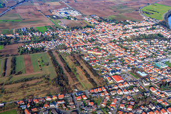 Vue aérienne de Robertsauer Straße à Lingenfeld dans le département Rhénanie-Palatinat, Allemagne