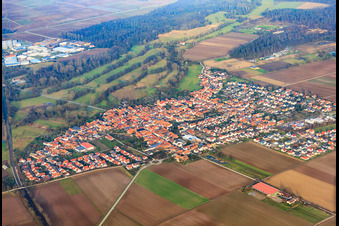 Vue aérienne de Vue d'ensemble du village en hiver depuis le sud à Steinweiler dans le département Rhénanie-Palatinat, Allemagne