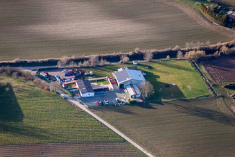 Quartier Ingenheim in Billigheim-Ingenheim dans le département Rhénanie-Palatinat, Allemagne d'en haut