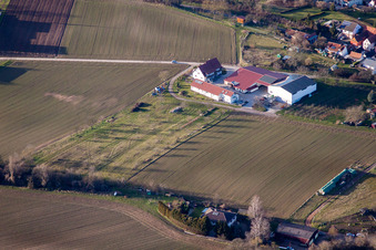 Quartier Ingenheim in Billigheim-Ingenheim dans le département Rhénanie-Palatinat, Allemagne vue d'en haut