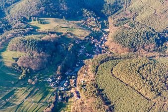 Vue aérienne de Quartier Blankenborn in Bad Bergzabern dans le département Rhénanie-Palatinat, Allemagne