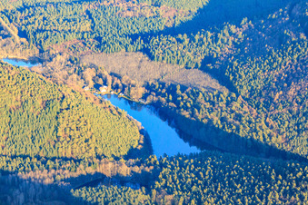 Vue aérienne de Lac de baignade Seehofweiher / Portzbach à Erlenbach bei Dahn dans le département Rhénanie-Palatinat, Allemagne