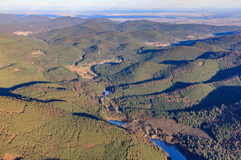 Vue aérienne de Lac de baignade Seehofweiher / Portzbach à Erlenbach bei Dahn dans le département Rhénanie-Palatinat, Allemagne