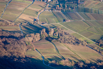 Vue aérienne de Bâtiments et parcs du manoir du Château Saint Paul sur le Sonnenberg à Wissembourg dans le département Bas Rhin, France