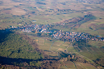 Vue aérienne de Vignoble Sonnenberg à le quartier Schweigen in Schweigen-Rechtenbach dans le département Rhénanie-Palatinat, Allemagne
