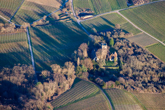 Photographie aérienne de Bâtiments et parcs du manoir du Château Saint Paul sur le Sonnenberg à Wissembourg dans le département Bas Rhin, France