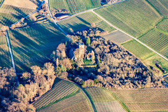 Vue oblique de Bâtiments et parcs du manoir du Château Saint Paul sur le Sonnenberg à Wissembourg dans le département Bas Rhin, France