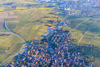 Vue aérienne de Ville viticole en hiver vue du nord avec frontière avec la France à le quartier Schweigen in Schweigen-Rechtenbach dans le département Rhénanie-Palatinat, Allemagne