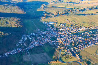 Vue aérienne de Ville viticole en hiver vue du sud-ouest à Oberotterbach dans le département Rhénanie-Palatinat, Allemagne