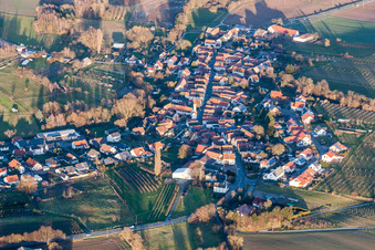 Photographie aérienne de Champs agricoles et terres agricoles à Oberhausen dans le département Rhénanie-Palatinat, Allemagne
