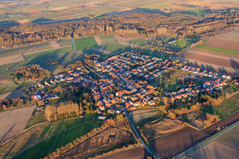 Photographie aérienne de Vue du village depuis le sud-ouest en hiver à Barbelroth dans le département Rhénanie-Palatinat, Allemagne
