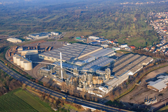 Vue aérienne de Usine de panneaux de particules à Bischweier dans le département Bade-Wurtemberg, Allemagne
