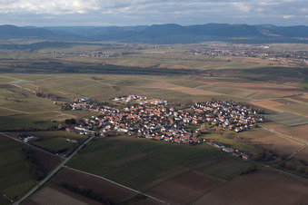 Vue aérienne de Champs et devant la lisière de Haardt de la forêt du Palatinat à Impflingen dans le département Rhénanie-Palatinat, Allemagne