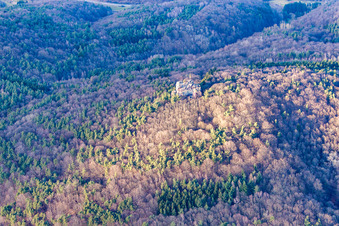 Vue aérienne de Rocher d'escalade à Waldhambach dans le département Rhénanie-Palatinat, Allemagne