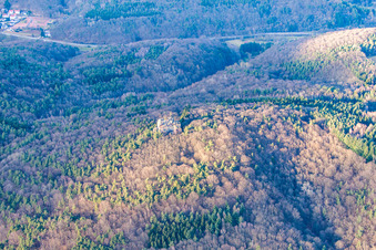 Photographie aérienne de Rocher d'escalade à Waldhambach dans le département Rhénanie-Palatinat, Allemagne