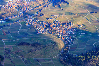 Photographie aérienne de Village au-dessus du vignoble de Kastanienbusch en hiver vu de l'ouest à Birkweiler dans le département Rhénanie-Palatinat, Allemagne