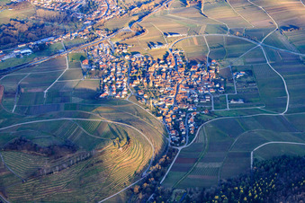 Vue oblique de Village au-dessus du vignoble de Kastanienbusch en hiver vu de l'ouest à Birkweiler dans le département Rhénanie-Palatinat, Allemagne