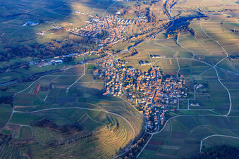 Village au-dessus du vignoble de Kastanienbusch en hiver vu de l'ouest à Birkweiler dans le département Rhénanie-Palatinat, Allemagne hors des airs