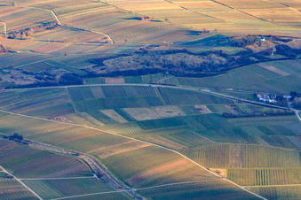 Vue aérienne de Réserve naturelle de Kleine Kalmit en hiver depuis le nord à le quartier Arzheim in Landau in der Pfalz dans le département Rhénanie-Palatinat, Allemagne