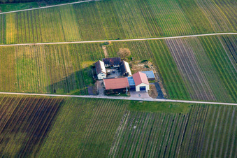 Vue aérienne de Domaine viticole Erlenwein à Wacholderhof en hiver à Ilbesheim bei Landau dans le département Rhénanie-Palatinat, Allemagne