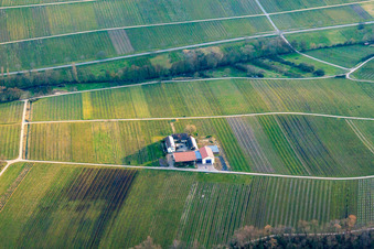 Photographie aérienne de Domaine viticole Erlenwein à Wacholderhof en hiver à Ilbesheim bei Landau dans le département Rhénanie-Palatinat, Allemagne