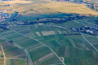 Vue aérienne de Réserve naturelle de Kleine Kalmit en hiver depuis le nord-ouest à Ilbesheim bei Landau dans le département Rhénanie-Palatinat, Allemagne