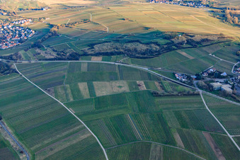 Photographie aérienne de Réserve naturelle de Kleine Kalmit en hiver depuis le nord-ouest à Ilbesheim bei Landau dans le département Rhénanie-Palatinat, Allemagne