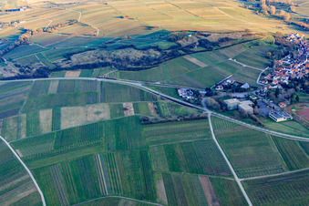 Vue oblique de Réserve naturelle de Kleine Kalmit en hiver depuis le nord-ouest à Ilbesheim bei Landau dans le département Rhénanie-Palatinat, Allemagne