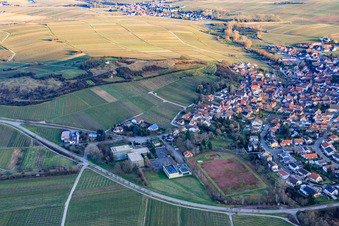 Vue oblique de École primaire et stade Kleine Kalmit à Ilbesheim bei Landau dans le département Rhénanie-Palatinat, Allemagne
