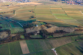 Photographie aérienne de Chapelle « Petit Kalmit » à le quartier Arzheim in Landau in der Pfalz dans le département Rhénanie-Palatinat, Allemagne