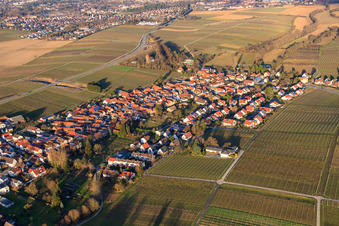 Vue aérienne de Vue du village en hiver depuis le sud-ouest à le quartier Wollmesheim in Landau in der Pfalz dans le département Rhénanie-Palatinat, Allemagne