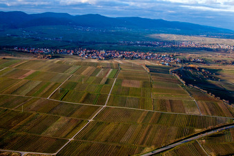 Vue aérienne de Du sud à le quartier Arzheim in Landau in der Pfalz dans le département Rhénanie-Palatinat, Allemagne