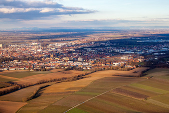 Image drone de Landau vu de l'ouest à Landau in der Pfalz dans le département Rhénanie-Palatinat, Allemagne