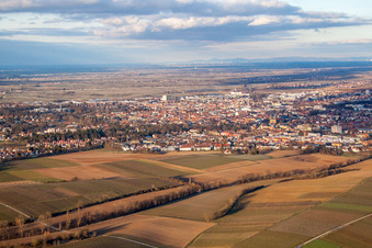 Landau vu de l'ouest à Landau in der Pfalz dans le département Rhénanie-Palatinat, Allemagne du point de vue du drone