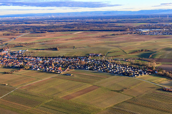 Vue aérienne de Vue du village en hiver depuis le nord-ouest à Insheim dans le département Rhénanie-Palatinat, Allemagne