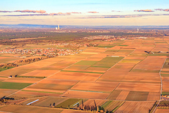 Vue aérienne de La plaine du Rhin en hiver à Ottersheim bei Landau dans le département Rhénanie-Palatinat, Allemagne