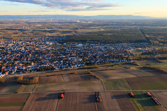 Photographie aérienne de Vue de la ville depuis le nord à Rülzheim dans le département Rhénanie-Palatinat, Allemagne