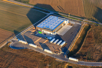 Vue aérienne de TRANSAC International Freight Forwarding Company Ltd. dans la zone industrielle de la vallée de Speyer à Rülzheim dans le département Rhénanie-Palatinat, Allemagne