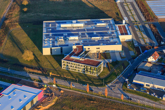 Vue aérienne de DBK EMS GmbH & Co. KG dans le parc industriel de Nordring à Rülzheim dans le département Rhénanie-Palatinat, Allemagne