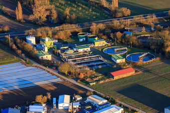 Vue aérienne de Station d'épuration Rülzheim à Rülzheim dans le département Rhénanie-Palatinat, Allemagne