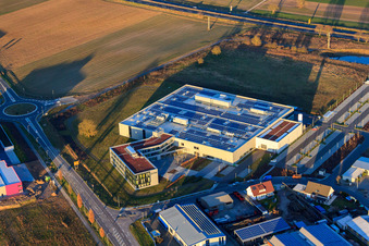 Vue oblique de DBK EMS GmbH & Co. KG dans le parc industriel de Nordring à Rülzheim dans le département Rhénanie-Palatinat, Allemagne