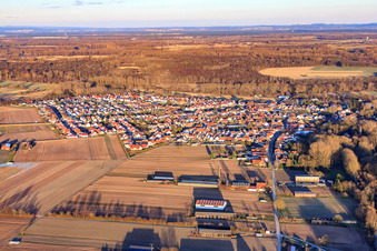 Vue aérienne de Vue du village en hiver depuis l'ouest à Hördt dans le département Rhénanie-Palatinat, Allemagne