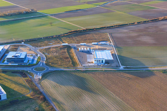 Vue oblique de TRANSAC International Freight Forwarding Company Ltd. dans la zone industrielle de la vallée de Speyer à Rülzheim dans le département Rhénanie-Palatinat, Allemagne